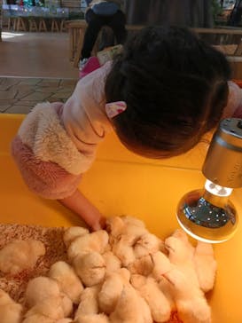 いきもの探検隊上尾に投稿された画像（2023/12/31）