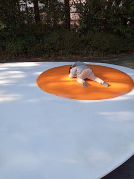 彫刻の森美術館に投稿された画像（2023/12/31）