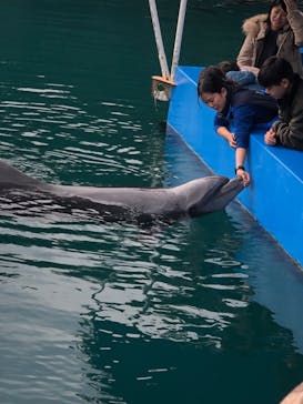 下田海中水族館に投稿された画像（2023/12/31）