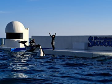 鴨川シーワールドに投稿された画像（2023/12/31）