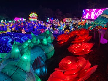 伊豆ぐらんぱる公園に投稿された画像（2023/12/31）