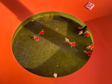 環境水族館アクアマリンふくしまに投稿された画像（2023/12/31）