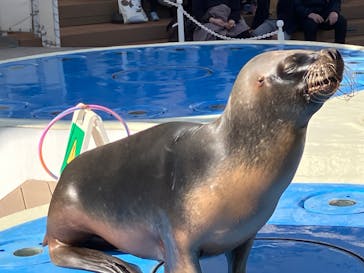 サンシャイン水族館に投稿された画像（2023/12/31）