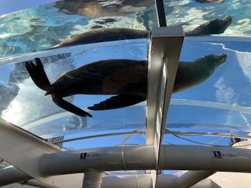 サンシャイン水族館に投稿された画像（2023/12/31）