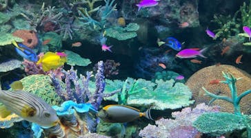 サンシャイン水族館に投稿された画像（2023/12/31）