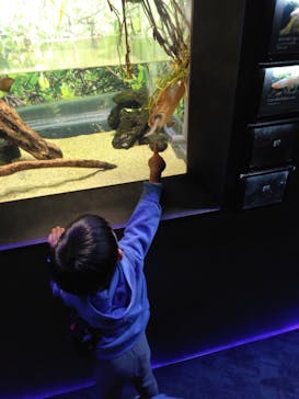 カワスイ 川崎⽔族館に投稿された画像（2023/12/31）