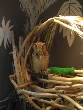 カワスイ 川崎⽔族館に投稿された画像（2023/12/31）