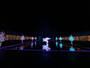 神戸イルミナージュに投稿された画像（2023/12/31）