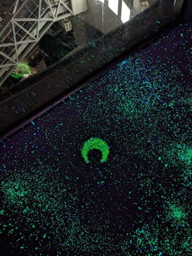 梅田スカイビル・空中庭園展望台に投稿された画像（2023/12/31）