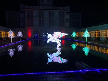 神戸イルミナージュに投稿された画像（2023/12/31）