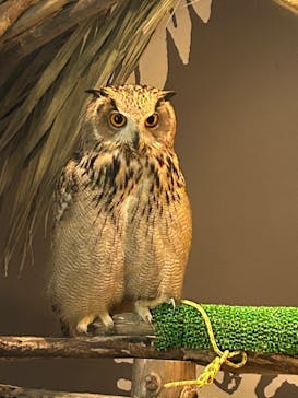 カワスイ 川崎⽔族館に投稿された画像（2023/12/31）