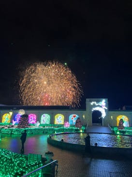 神戸イルミナージュに投稿された画像（2023/12/31）