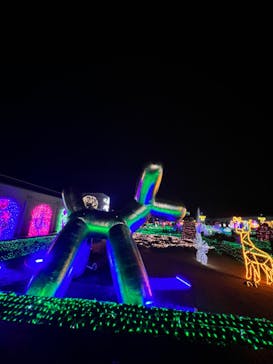 神戸イルミナージュに投稿された画像（2023/12/31）