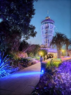 江の島シーキャンドルに投稿された画像（2023/12/31）