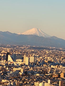 サンシャイン60展望台に投稿された画像（2023/12/31）