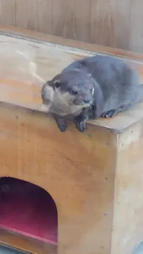 横浜・八景島シーパラダイスに投稿された画像（2023/12/31）