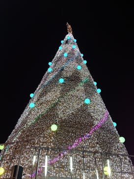 レオマリゾートに投稿された画像（2024/1/1）