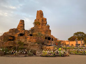 ひらかたパークに投稿された画像（2024/1/1）