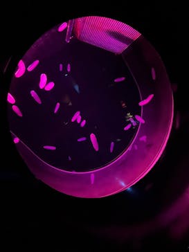 アクアワールド茨城県大洗水族館に投稿された画像（2024/1/1）