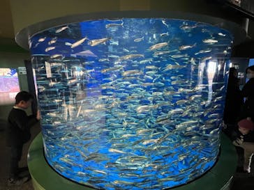 アクアワールド茨城県大洗水族館に投稿された画像（2024/1/1）