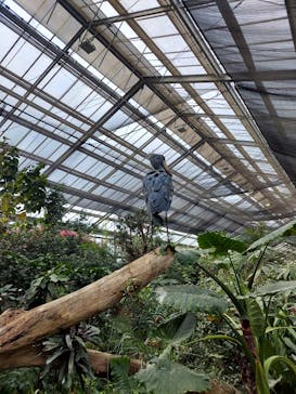 神戸どうぶつ王国に投稿された画像（2024/1/1）