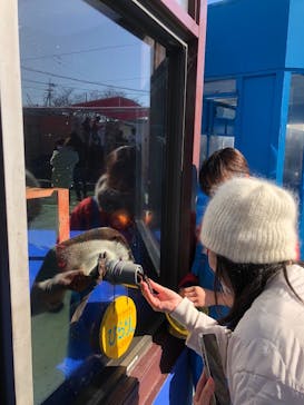 ゼロ距離水族館 伊勢シーパラダイスに投稿された画像（2024/1/1）