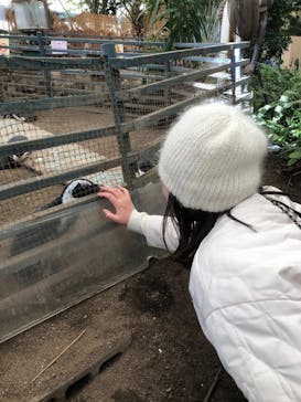 ゼロ距離水族館 伊勢シーパラダイスに投稿された画像（2024/1/1）