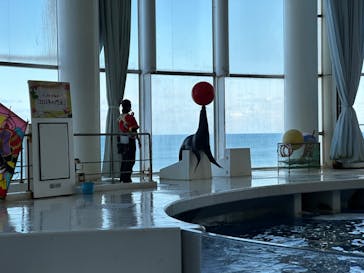 アクアワールド茨城県大洗水族館に投稿された画像（2024/1/1）