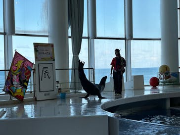 アクアワールド茨城県大洗水族館に投稿された画像（2024/1/1）