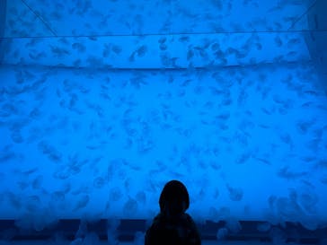 アクアワールド茨城県大洗水族館に投稿された画像（2024/1/1）