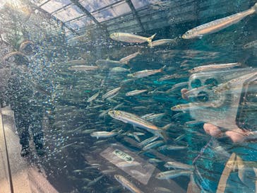 環境水族館アクアマリンふくしまに投稿された画像（2024/1/1）