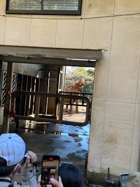 伊豆アニマルキングダムに投稿された画像（2024/1/1）