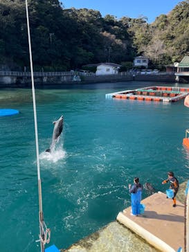 下田海中水族館に投稿された画像（2024/1/1）