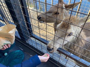 那須サファリパークに投稿された画像（2024/1/1）