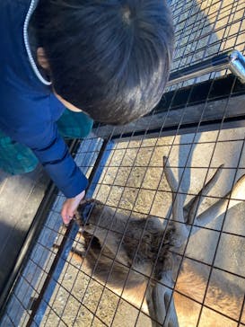 那須サファリパークに投稿された画像（2024/1/1）