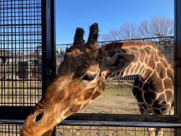 那須サファリパークに投稿された画像（2024/1/1）