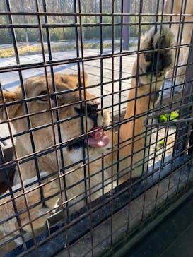 那須サファリパークに投稿された画像（2024/1/1）