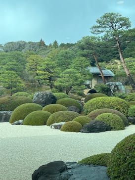 足立美術館に投稿された画像（2024/1/1）