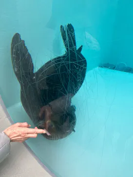 天王寺動物園に投稿された画像（2024/1/1）