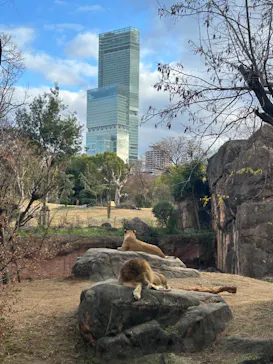 天王寺動物園に投稿された画像（2024/1/1）
