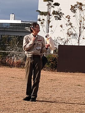 神戸どうぶつ王国に投稿された画像（2024/1/1）