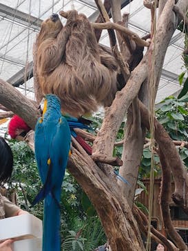 神戸どうぶつ王国に投稿された画像（2024/1/1）