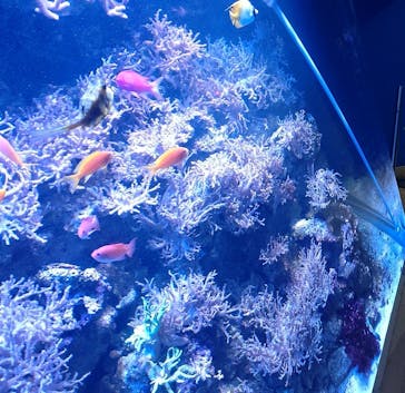 名古屋港水族館に投稿された画像（2024/1/1）