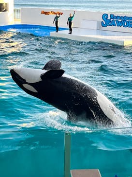 鴨川シーワールドに投稿された画像（2024/1/1）