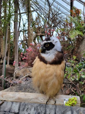 伊豆シャボテン動物公園に投稿された画像（2024/1/1）