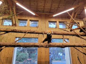 伊豆シャボテン動物公園に投稿された画像（2024/1/1）