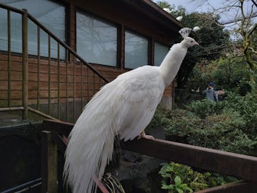 伊豆シャボテン動物公園に投稿された画像（2024/1/1）