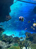 サンシャイン水族館に投稿された画像（2024/1/1）