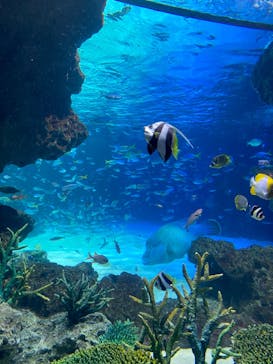 サンシャイン水族館に投稿された画像（2024/1/1）