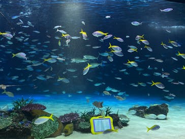 サンシャイン水族館に投稿された画像（2024/1/1）